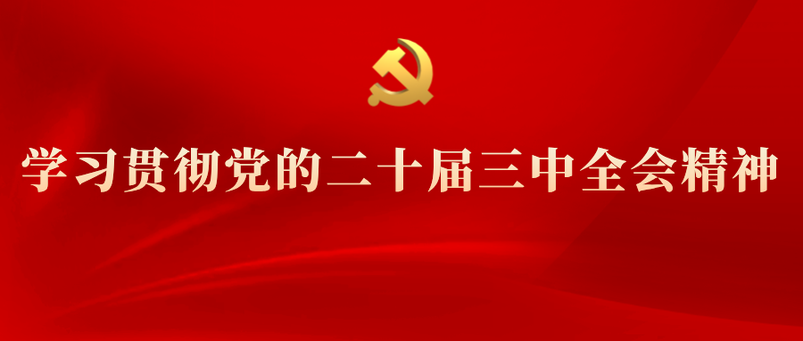 學(xué)習(xí)專欄 | 黨的二十屆三中全會(huì)精神解讀(四)
